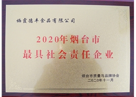 2020年煙臺市最具社會(huì )責任企業(yè)