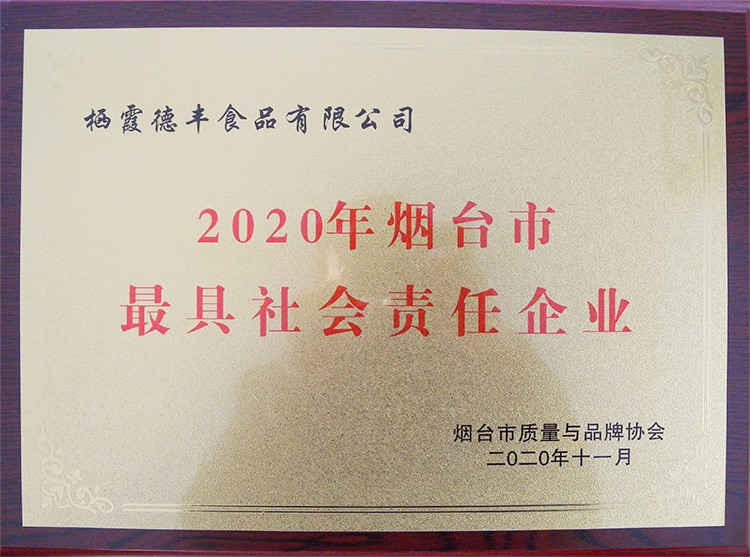 2020年煙臺市最具社會責(zé)任企業(yè)