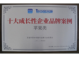 十大成長(cháng)性企業(yè)品牌案例（蘋(píng)果類(lèi)）